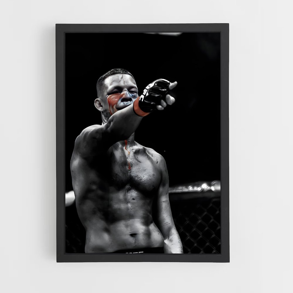 Poster Nate Diaz: Fight or Flight – affiche MMA (vue 2)